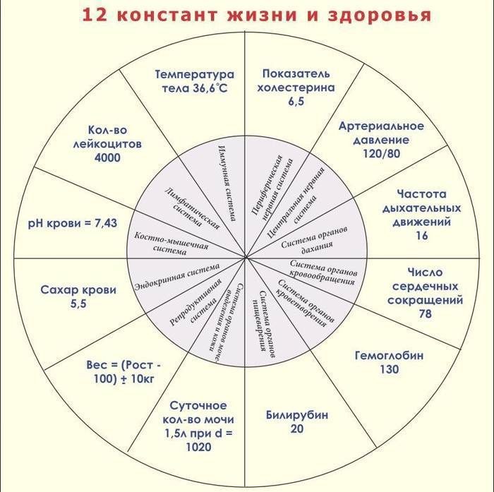 Примеры систем организма человека