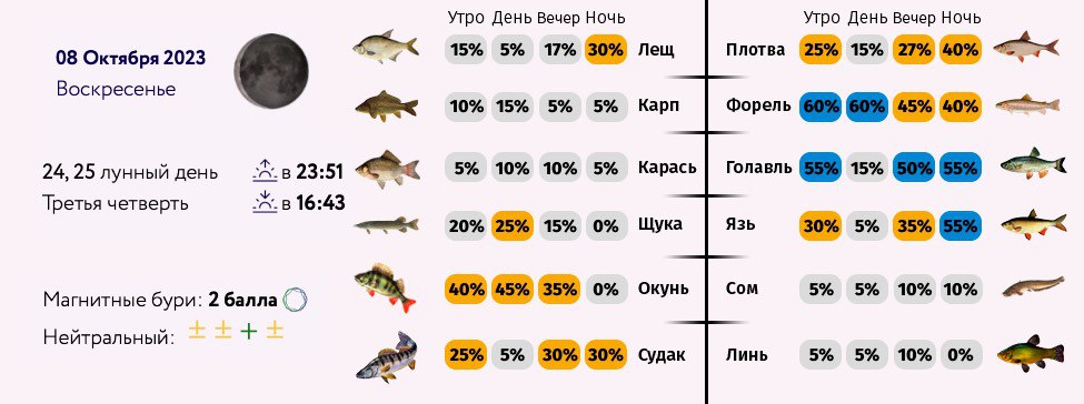 Прогноз клева в сыктывкаре. Зрение рыб. Рыбы с инфракрасным зрением. Какое зрение у рыб.