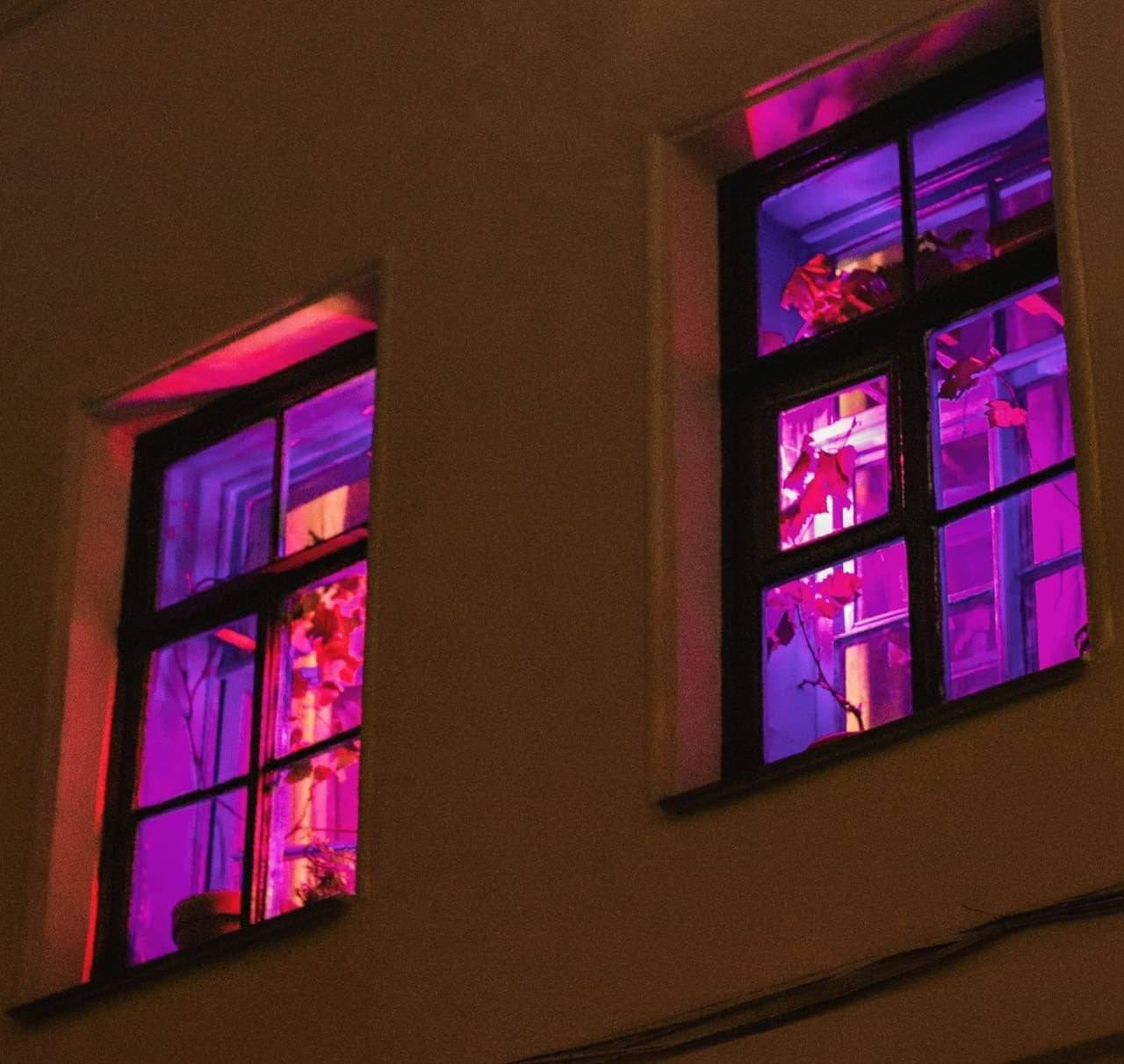 Источник света окно. Светящиеся окна. Фиолетовые окна. Фиолетовые окна в домах. Свет в окне.