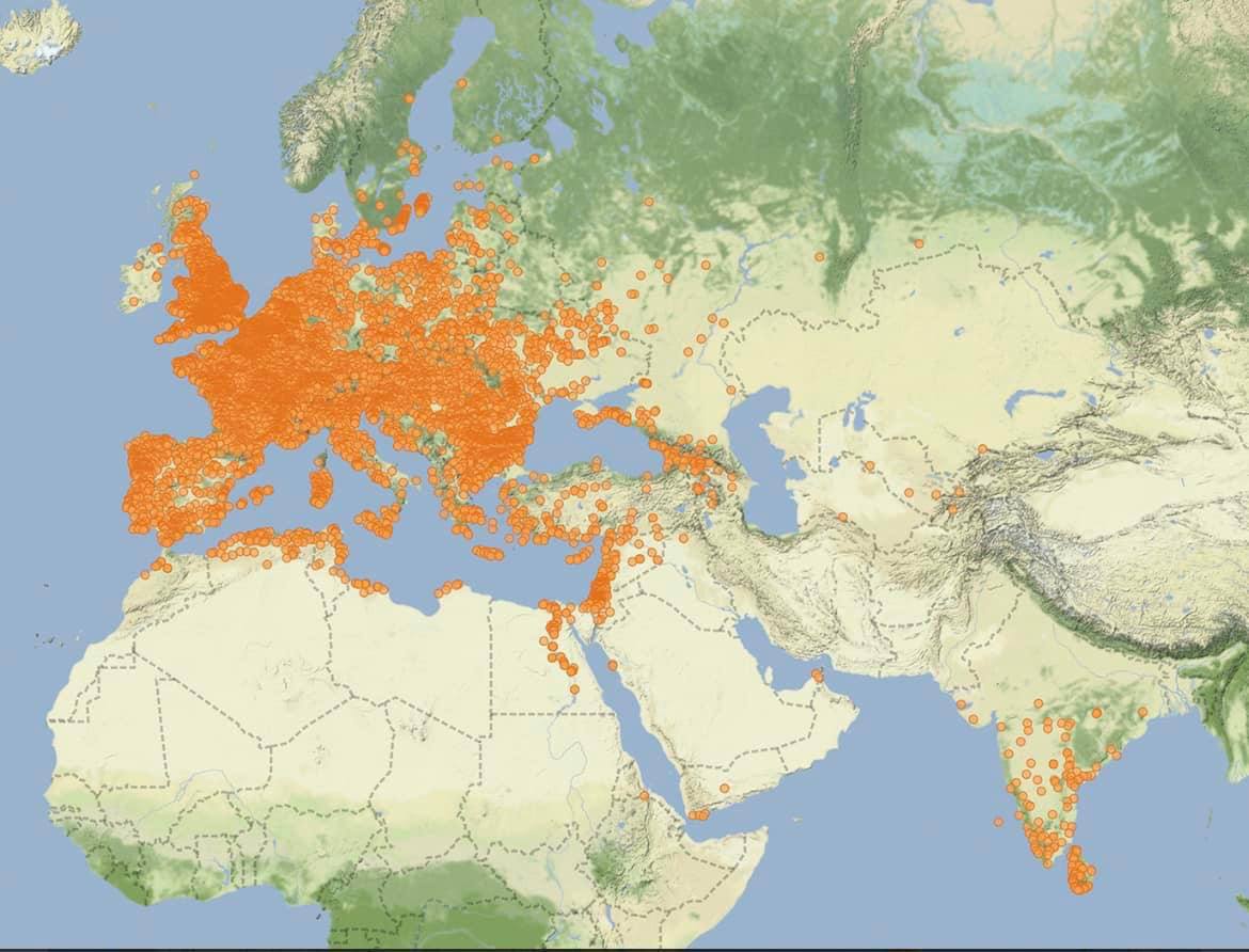 Запретное слив телеграмм фото 64