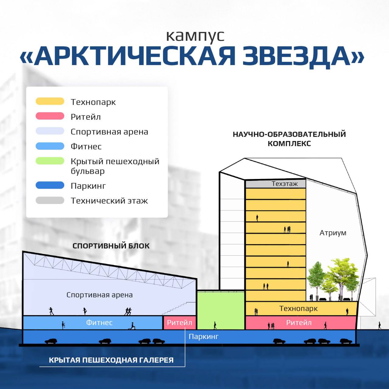 Кампус арктическая звезда в архангельске. Арктическая звезда кампус. Арктик звезда. Кампус Арктическая звезда в Архангельске где построят