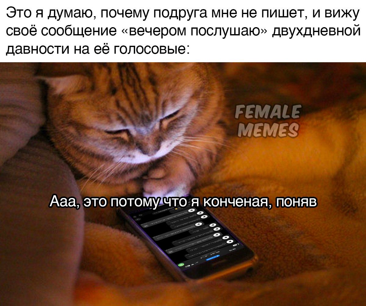 Публикация #9244 — FEMALE MEMES (@femalememes)