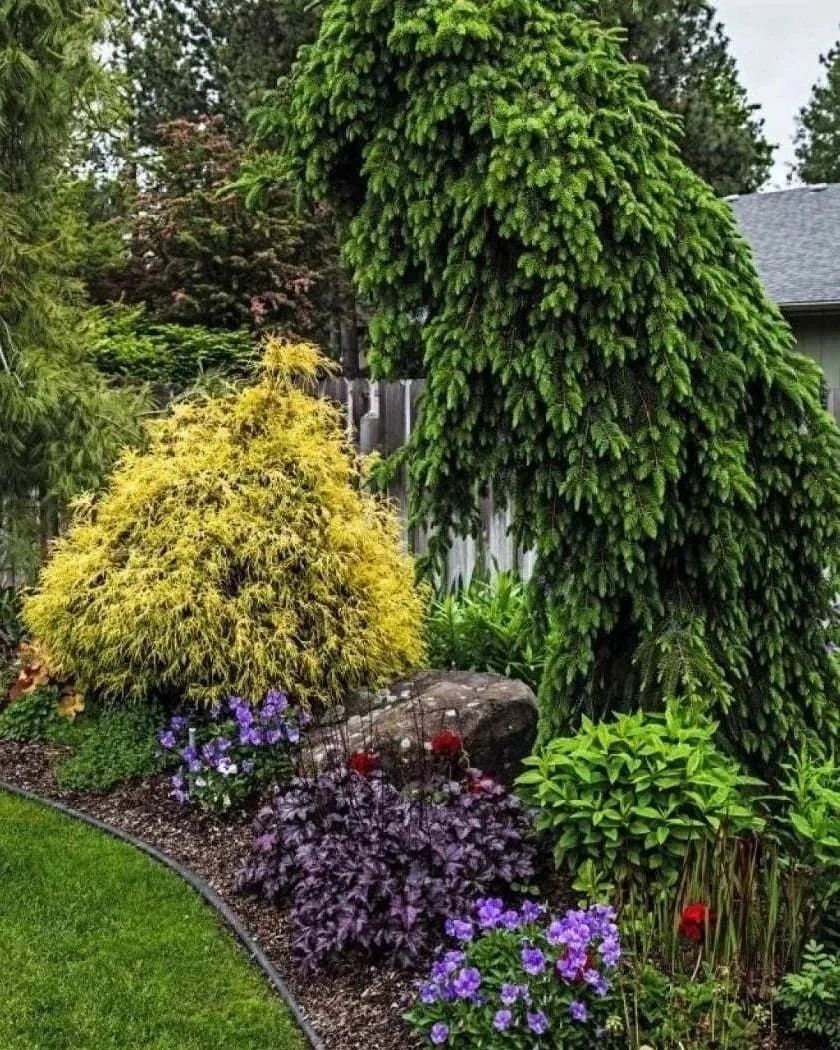 Telegram-канал \"Участок своими руками\" — 3IcZibkv65QxNTBi — TGStat