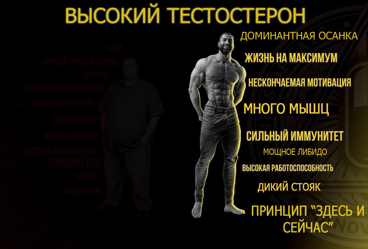 Маленький гигант большого секса | Пикабу Маленький гигант большого секса | Пикабу