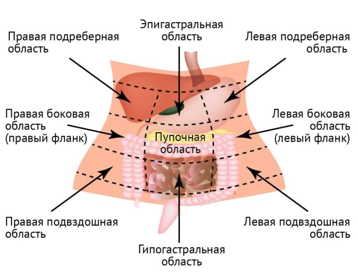 Колики в левом боку причина. Отделы брюшной полости. Боли в животе.