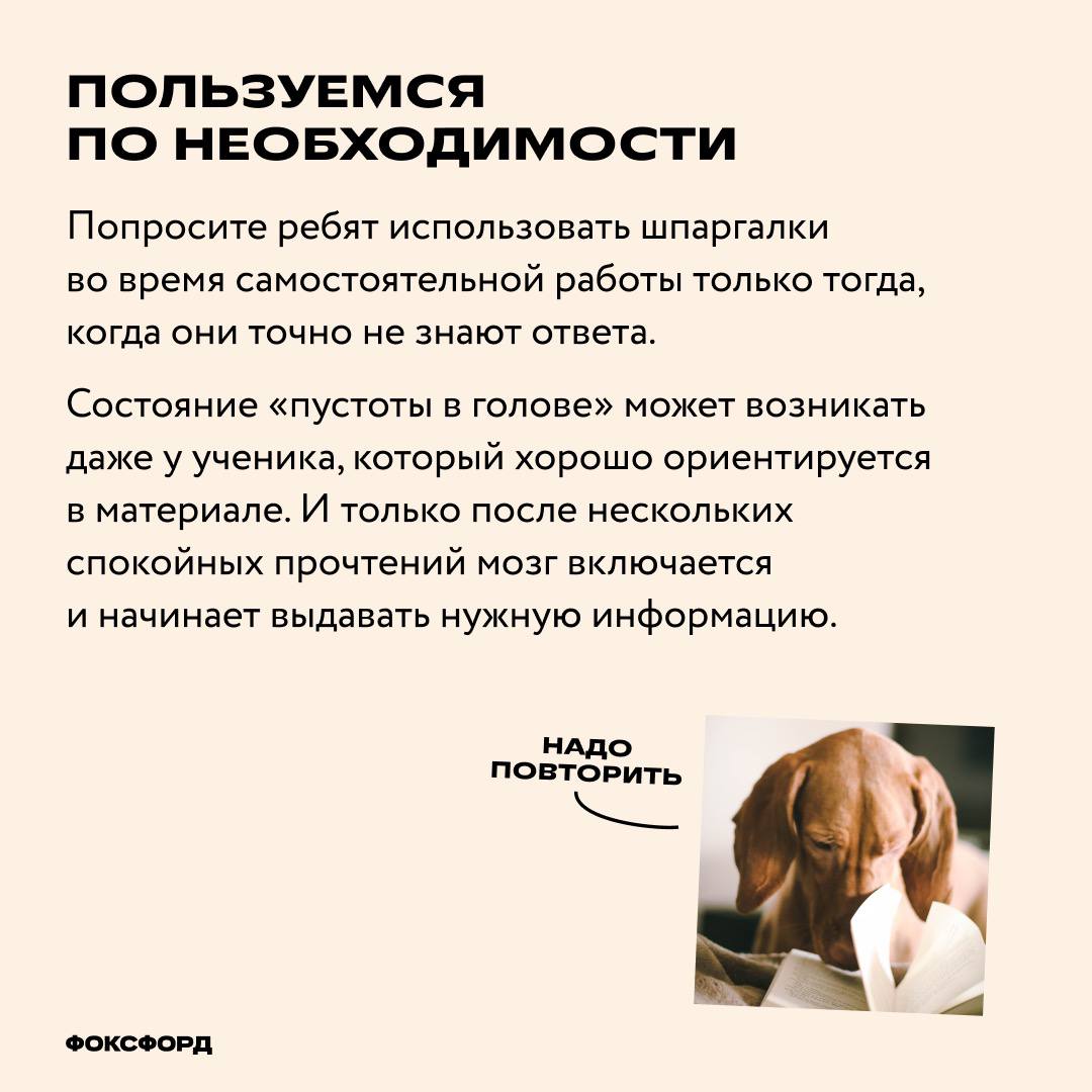 Не ездок а со шпорами