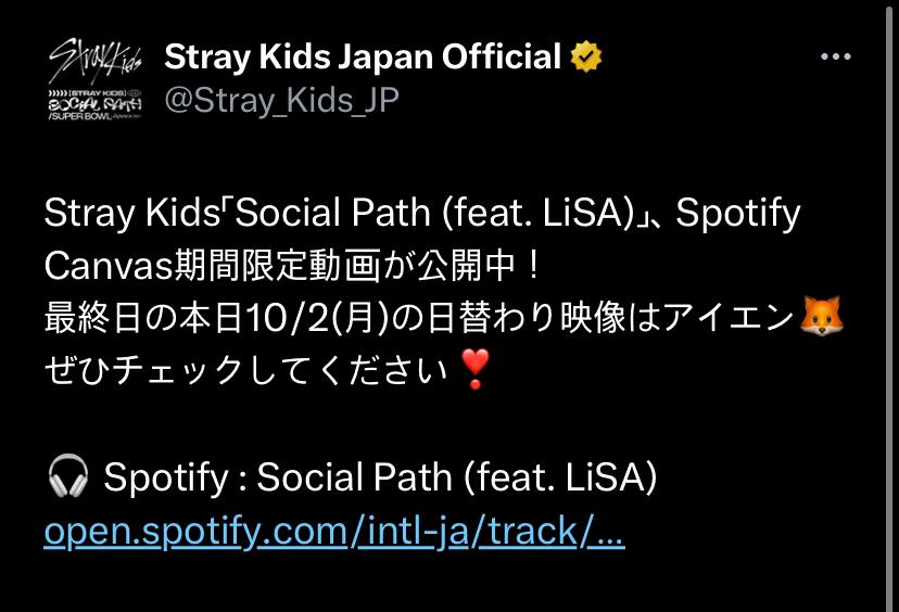 Spotify stray kids