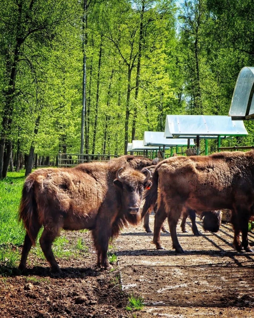 приокский берег