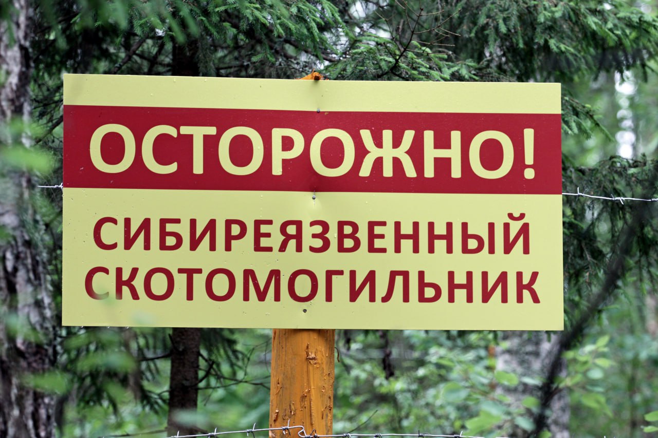 Сибиреязвенный могильник. Сибиреязвенный скотомогильник. Сиберезневый ското мигильник. Могильник сибирской язвы. Сибирь язвенный скотомогильник