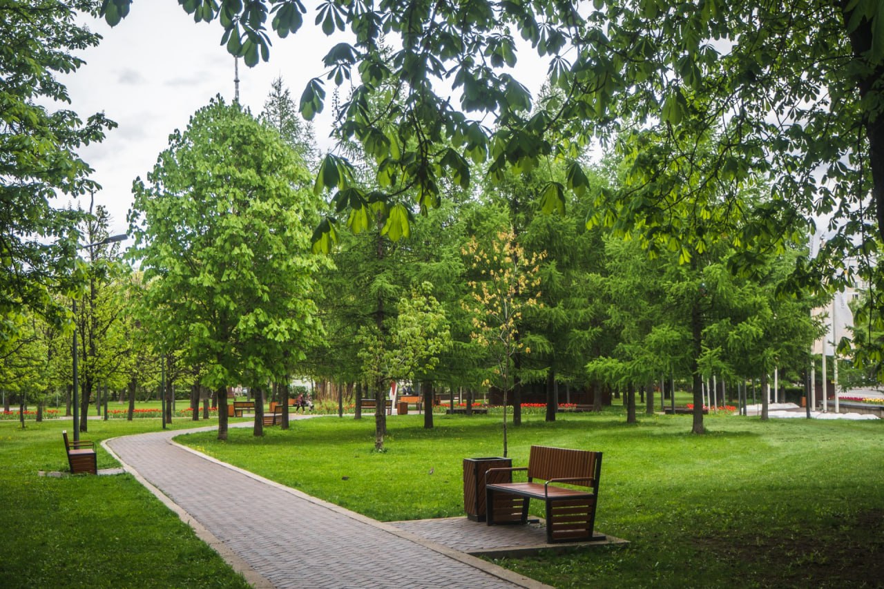 гончаровский парк москва