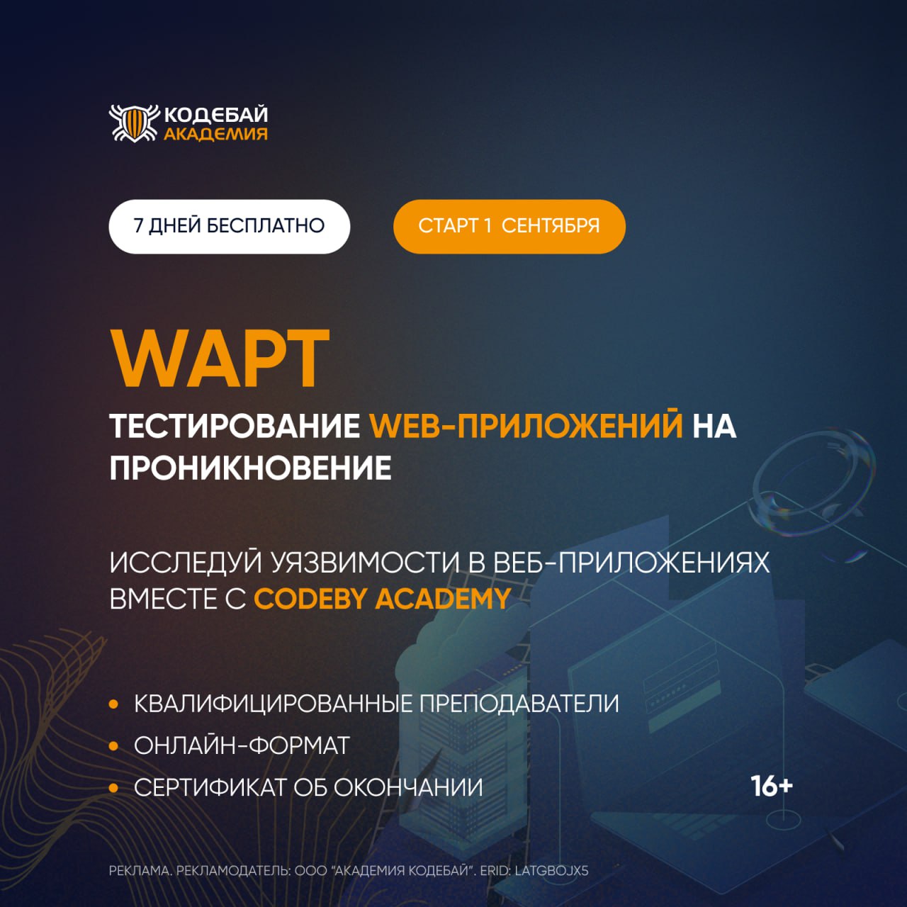 Codeby academy. Веб уязвимости. Codeby logo. Codeby academy. Codeby.