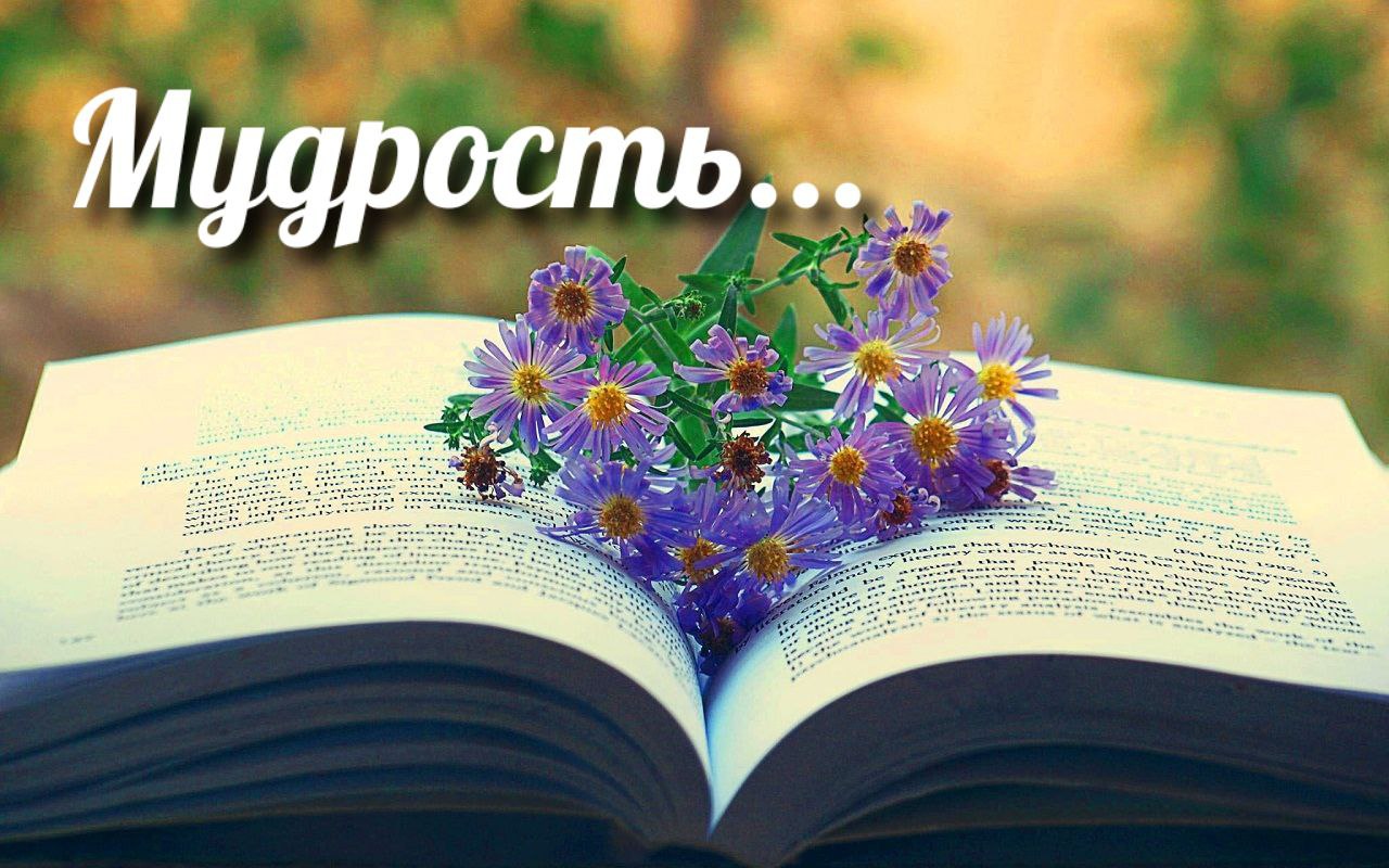 Картинки Книги Просто Так