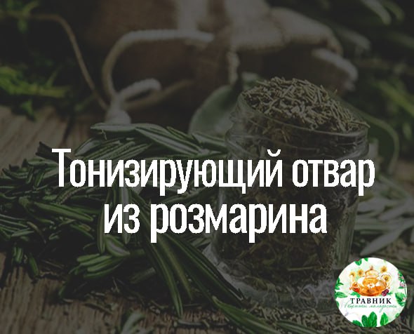 Чай. Чай с розмарином. Чай с розмарином. Фон серый с розмарином. Чай с розмарином.