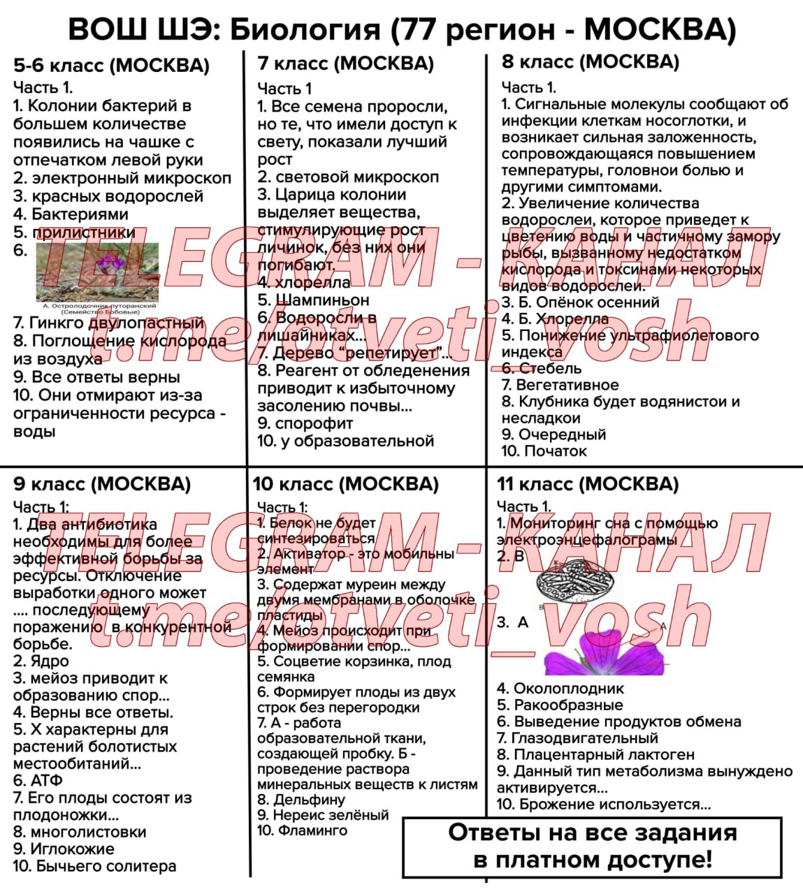 Телеграмм каналы с сливами школьников фото 43