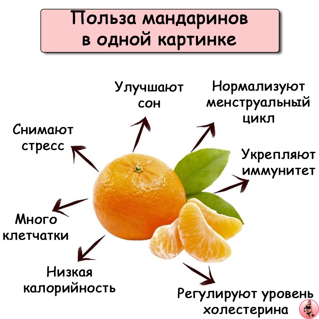 мандарины слабят или крепят стул