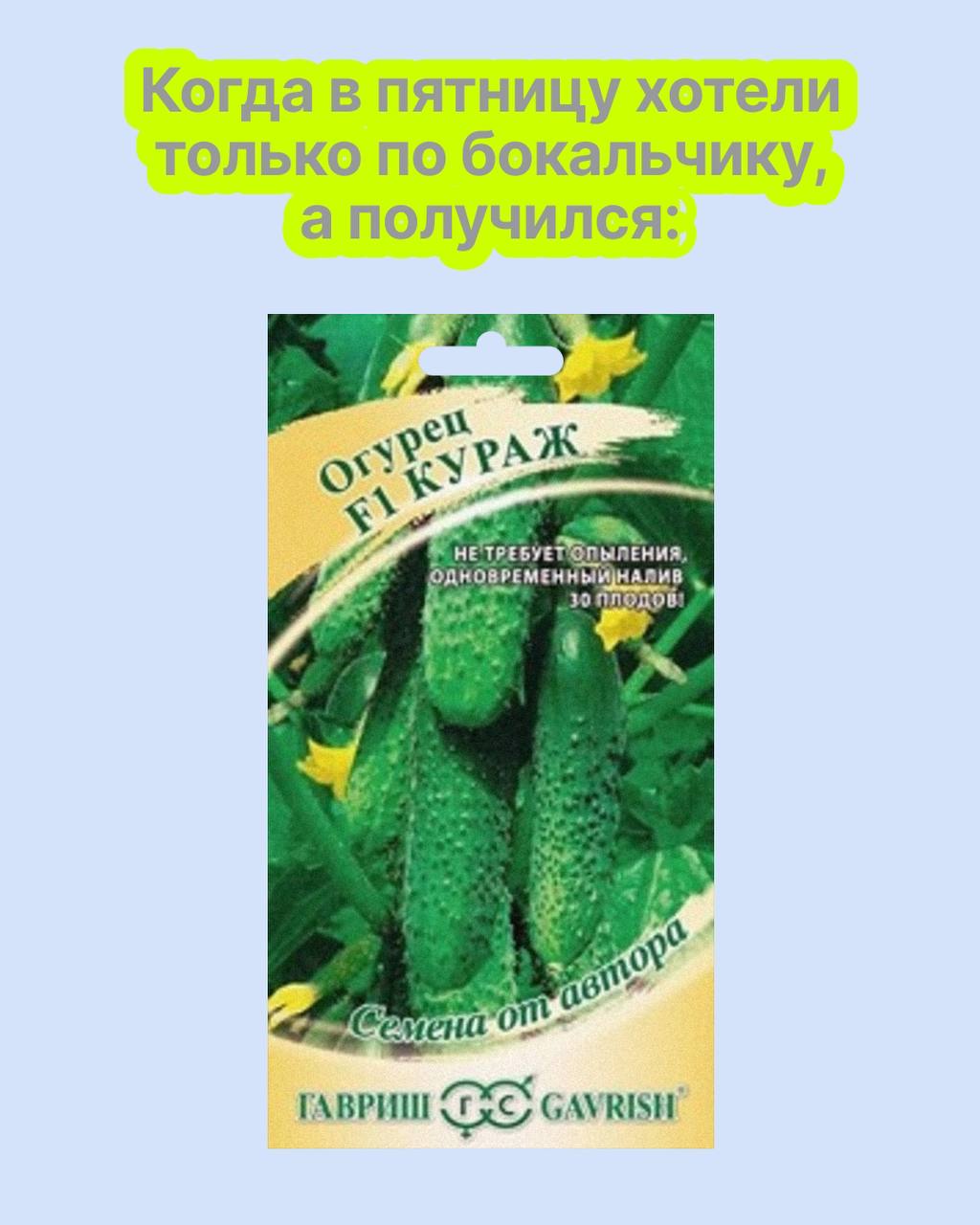 лацио пицца балашиха новое измайлово фото 65