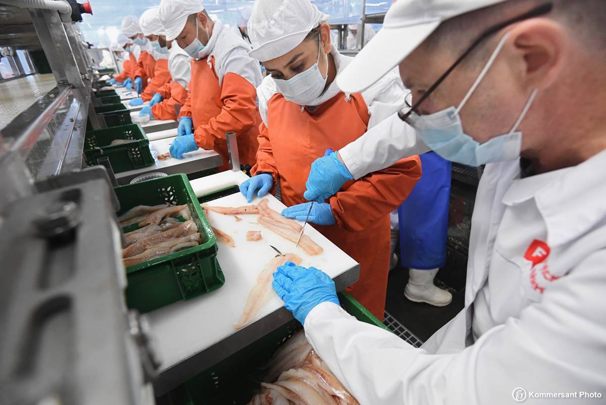 Запрет на экспорт 2024