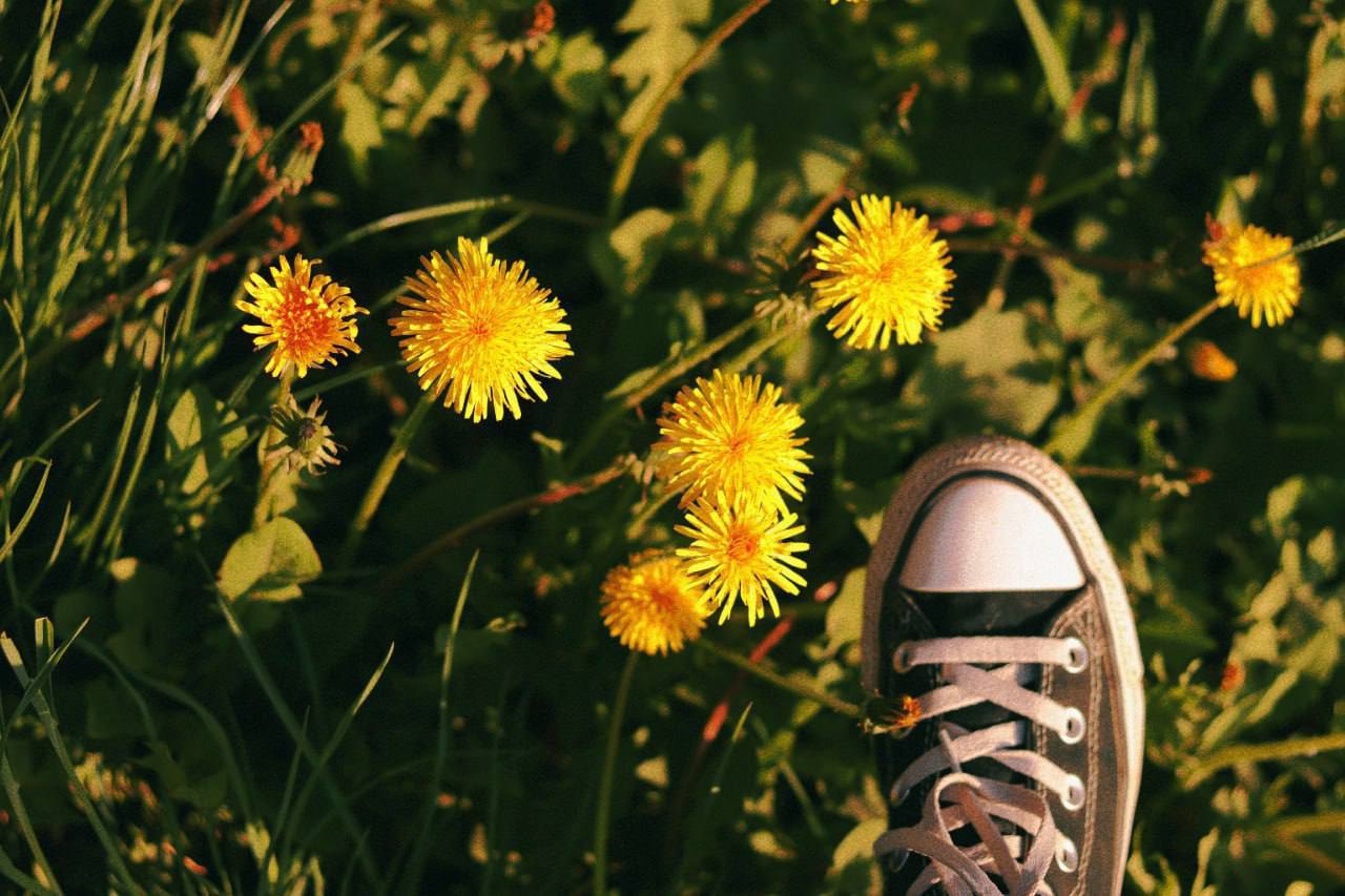 летом на пляже. лето теплее обычного. лето жара. тепло летом. девушка на пляже под зонтиком.