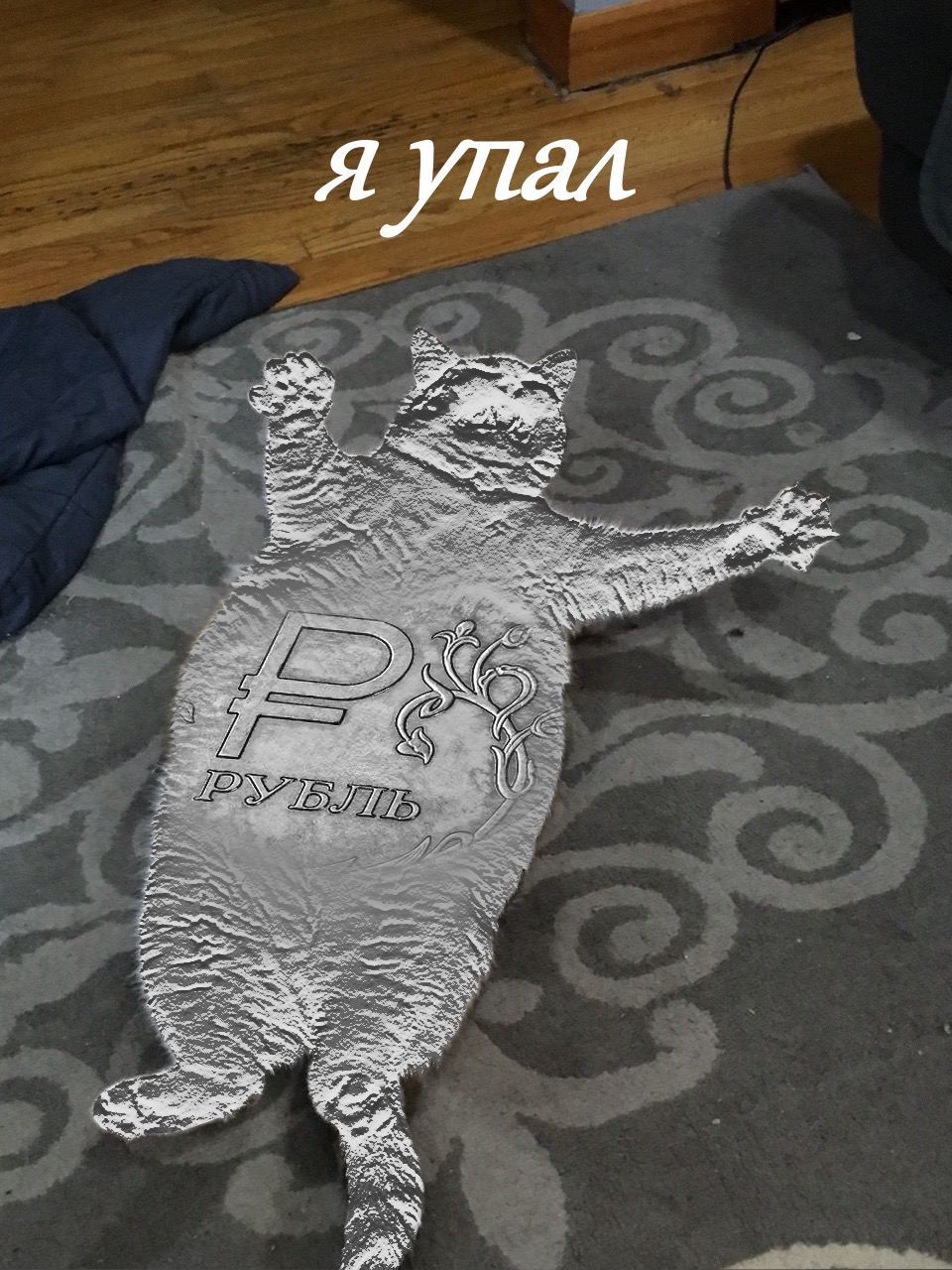 Я упал мем с котом