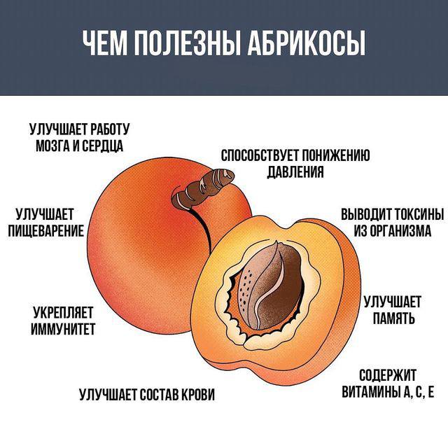 В абрикосах содержится 70