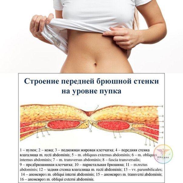 Что находится внутри пупка у человека Post #435 - Новости и Секреты Медицины (@newspaper_med)