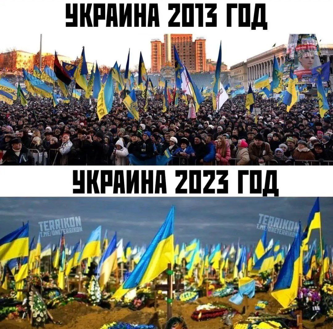 ENCi210 IPȂ YouTube>6{ ->摜>98 