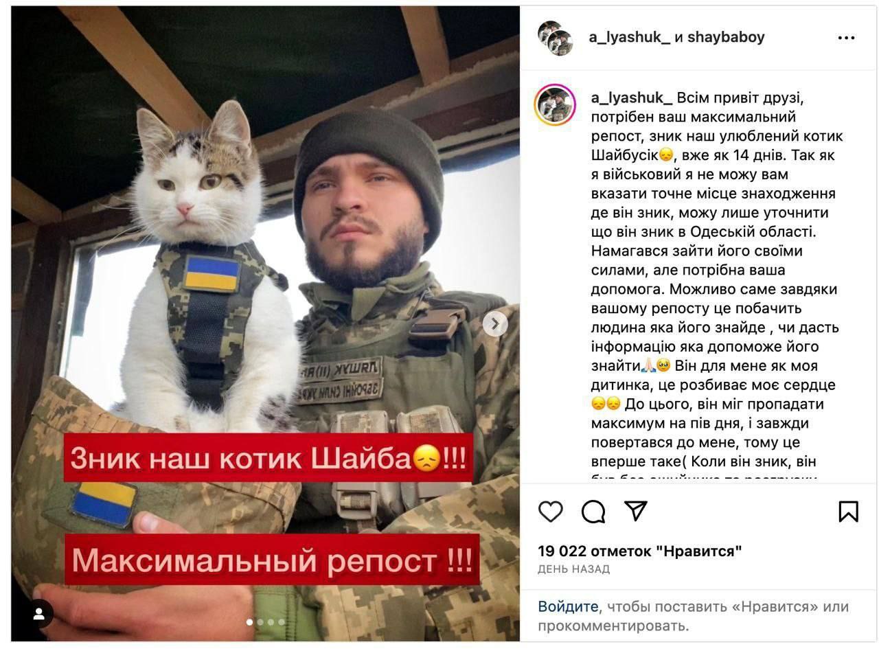 Кот по украински