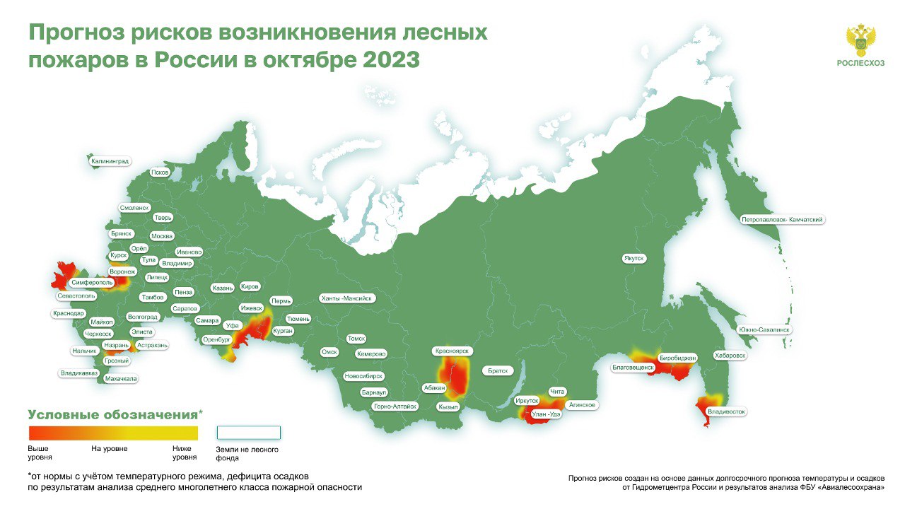 Рослесхоз отчеты