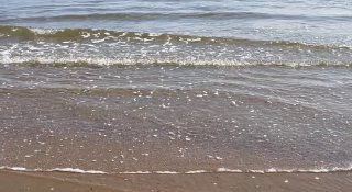 Пляж шамора. Бухта лазурная шамора. Море шамора. Пляж шамора владивосток. Температура моря на шаморе.